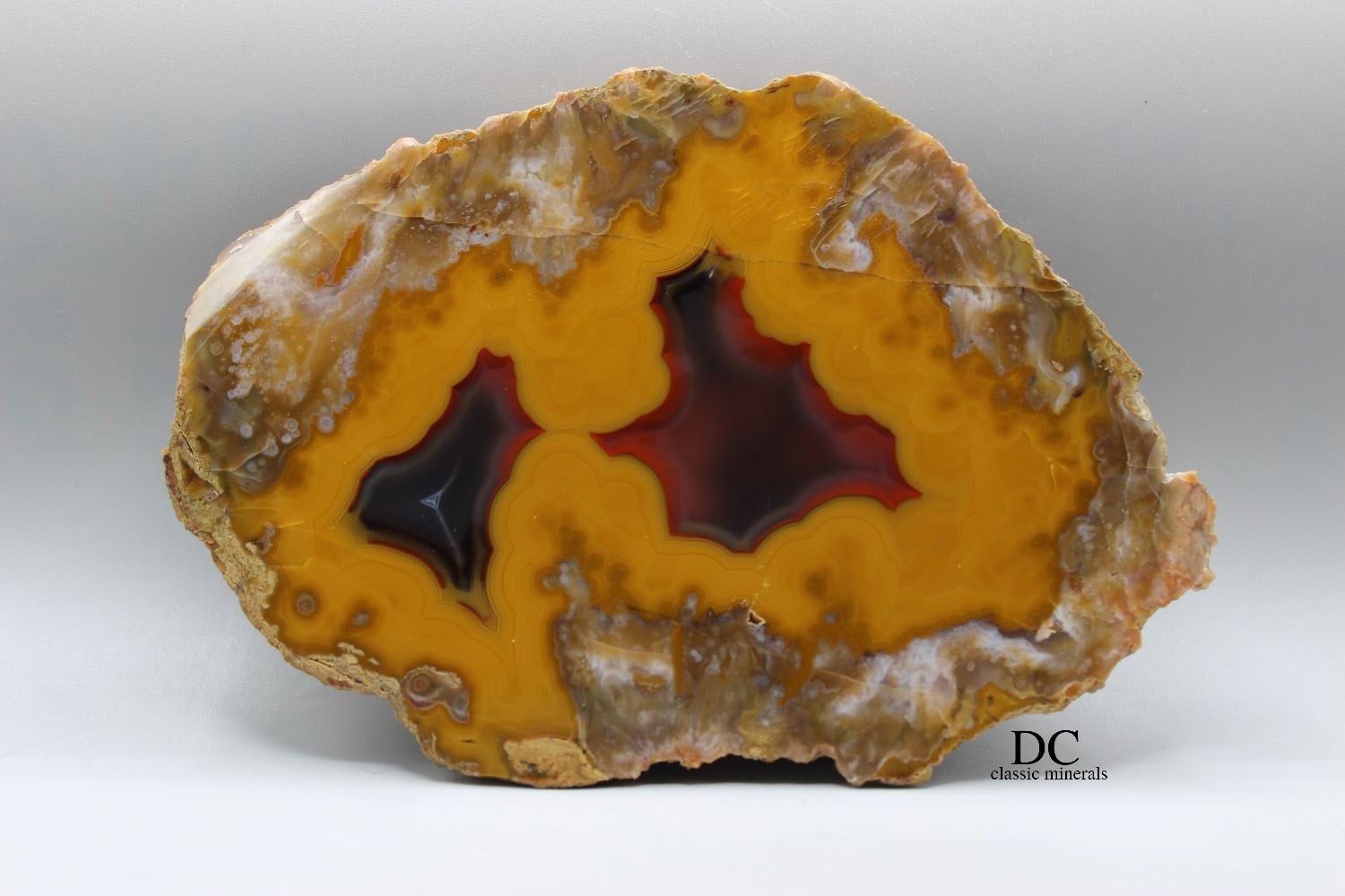 Kentucky Agate buy 41.55 ct Oval Cabochon 41.50 x 24.90 x 5.00 mm y99089 Beige and Orange Gemstone Cab Loose Gem Stone